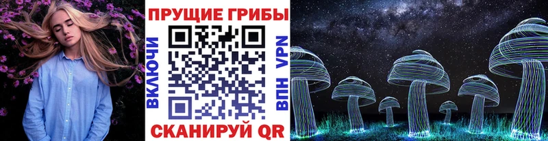 Псилоцибиновые грибы Cubensis  что такое   блэк спрут зеркало  Черногорск 